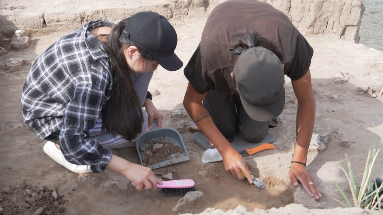 Первая экспедиция юных археологов