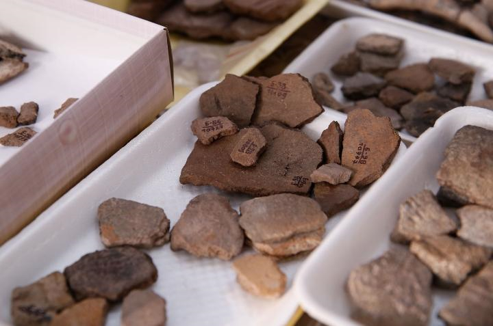 Во Дворце школьников открывается археологическая школа 