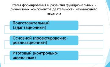 Эффективность школы молодых специалистов в дополнительном образовании