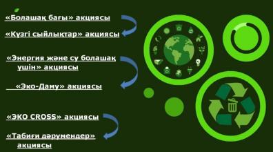 О проектной деятельности говорили на вебинаре во Дворце школьников 